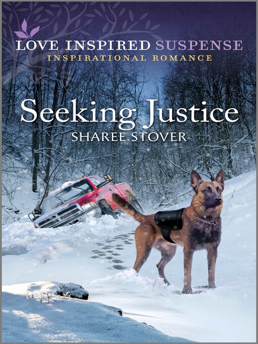 Title details for Seeking Justice by Sharee Stover - Wait list